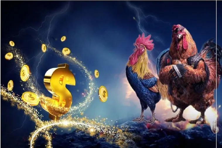 Thống Lĩnh Đá Gà WS168 Tại VVVWin: Bí Quyết Chiến Thắng Dễ Dàng